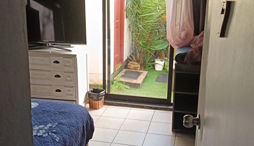 Comfort Suite, Garden View