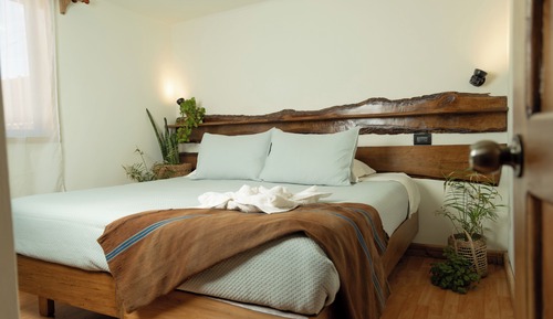 Basic Double Room, Multiple Beds