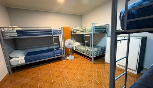 Shared Dormitory, Mixed Dorm