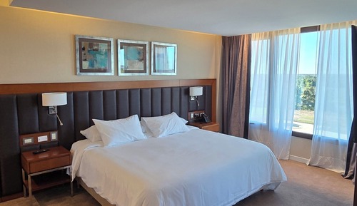 Deluxe Studio Suite, River View