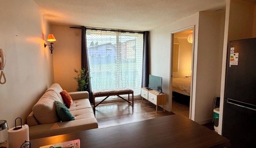 Superior Apartment, Garden View