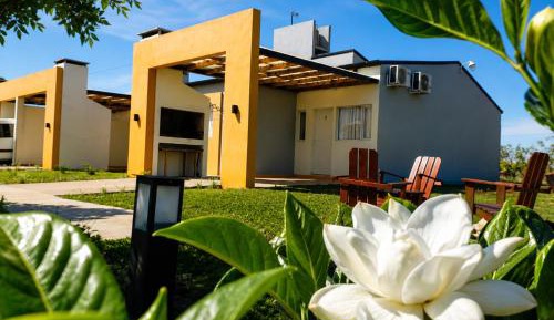 Standard Bungalow