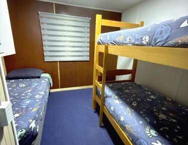 Bunk Bed in Mixed Dormitory Room