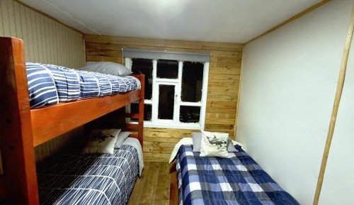 Bunk Bed in Mixed Dormitory Room