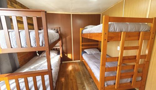 Bunk Bed in Mixed Dormitory Room
