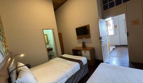 Standard Suite