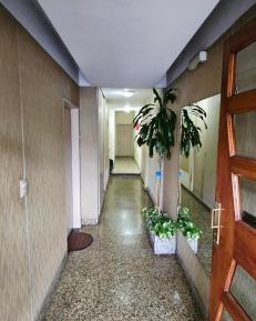 Room #1715617201