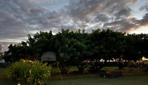 Tent