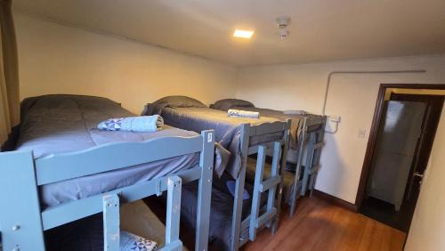 Single Bed in 6-Bed Dormitory Room