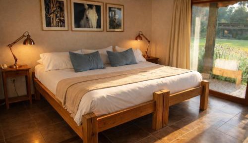King Room with Garden View