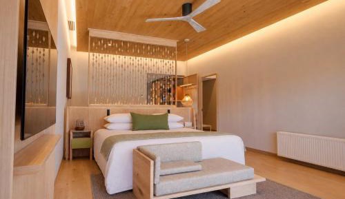 Suite with Terrace