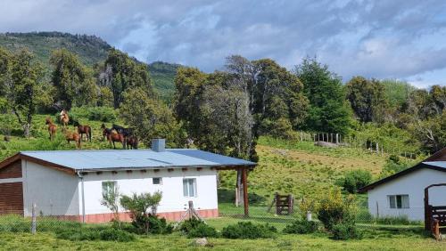 Double or Twin Room with View