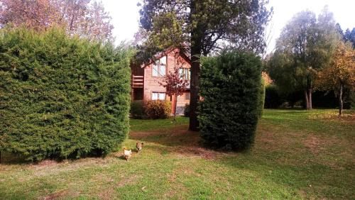 Two-Bedroom Bungalow - Yeuen