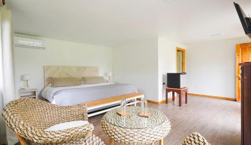 Superior Queen Room