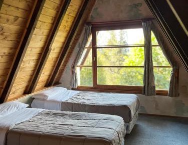 Bed in 6-Bed Dormitory Room