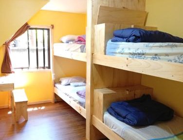 Bed in 4-Bed Dormitory Room