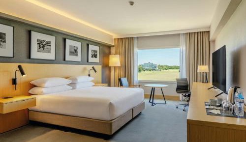 Deluxe King Room with Garden View