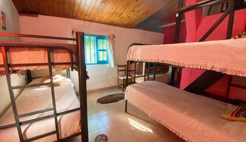 Single Bed in Dormitory Room