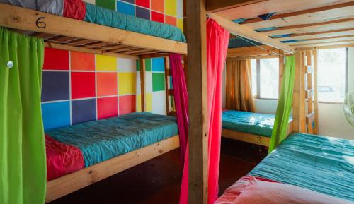 Single Bed in 6-Bed Dormitory Room