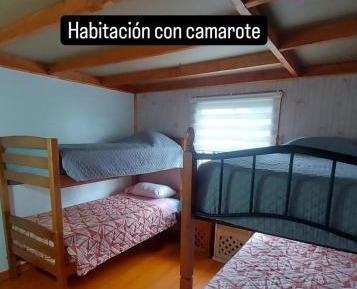 Bed in 4-Bed Mixed Dormitory Room