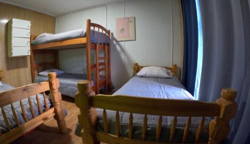 Bunk Bed in Mixed Dormitory Room