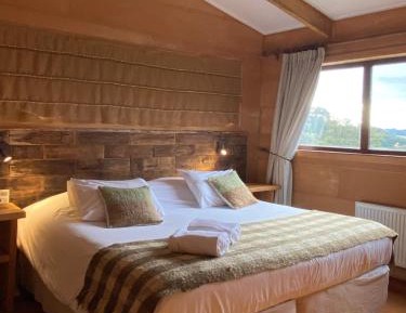 Deluxe King Suite