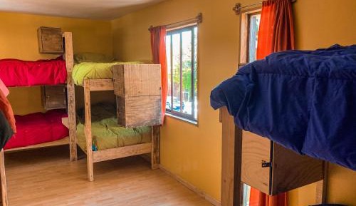 Single Bed in 10-Bed Dormitory Room