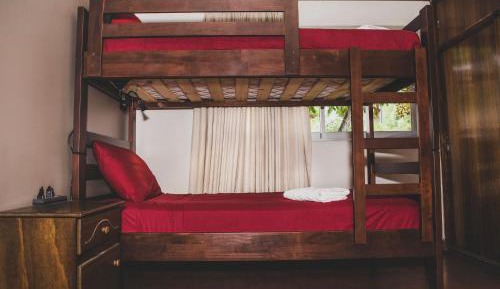 Bunk Bed in Mixed Dormitory Room