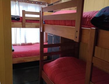 Bed in 4-Bed Mixed Dormitory Room