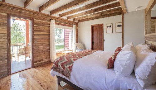 Large Double or Twin Room