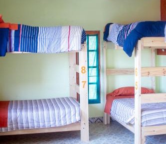 Bed in 8-Bed Dormitory Room