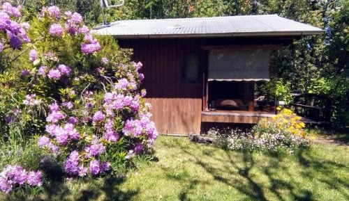 One-Bedroom Bungalow