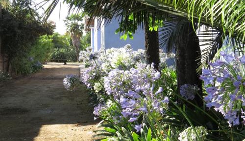 Deluxe Double or Twin Room with Garden View