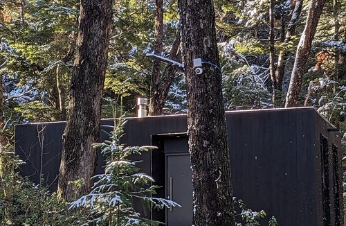 Peninsula San Pedro Cabin | El bosque