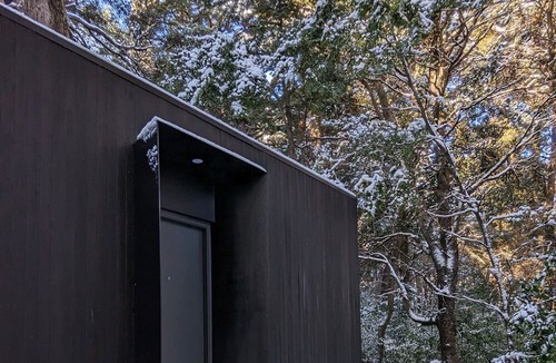 Peninsula San Pedro Cabin | El bosque