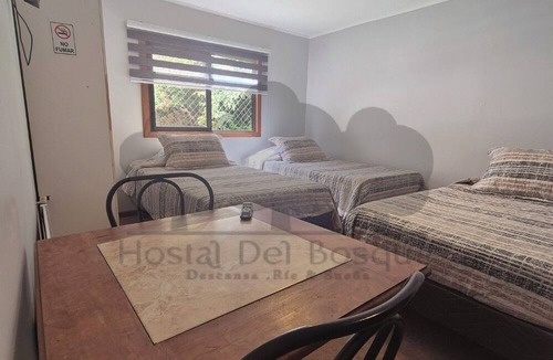 Temuco Hostel | HOSTAL DEL BOSQUE TEMUCO