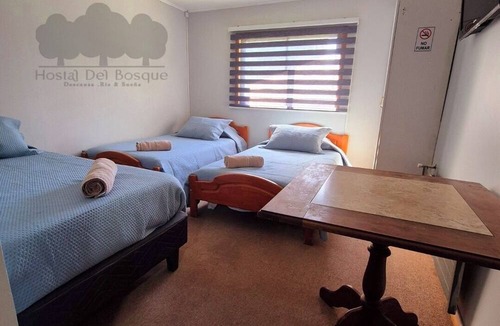 Temuco Hostel | HOSTAL DEL BOSQUE TEMUCO