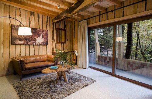 Neltume Cabin | Huilo Huilo Reino Fungi