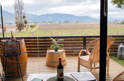 Santa Cruz Cabin | Apalta Lofts, enjoy the vineyards in front of the vineyards