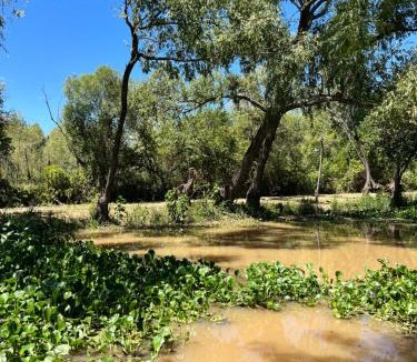 Partido de Tigre House | Casa quinta con pileta y río privado, ideal grupos a 60km de CABA
