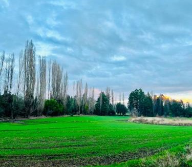 Los Angeles Apartment | Cabaña entre rios