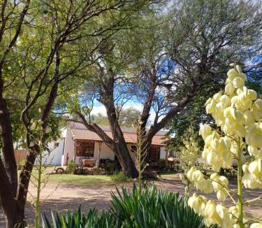 Ayacucho Department Apartment | El Algarrobo