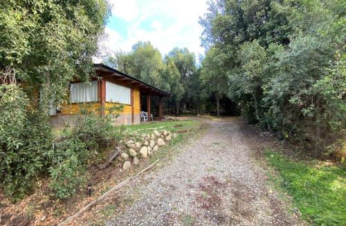Villa Los Coihues House | Cabañas Bariloche Arandanos
