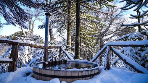 Lonquimay Ski Chalet | Refugio de montaña Küme Mongüen