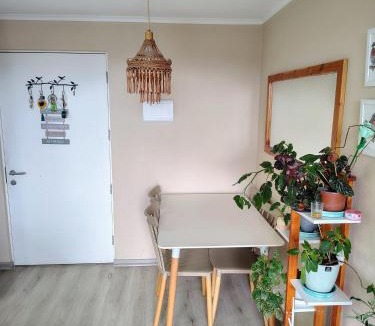 Villarrica Apartment | Departamento 2d1b en Villarrica