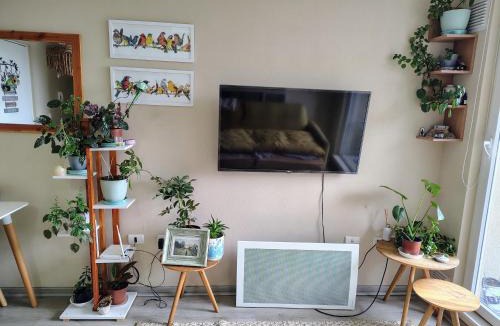 Villarrica Apartment | Departamento 2d1b en Villarrica