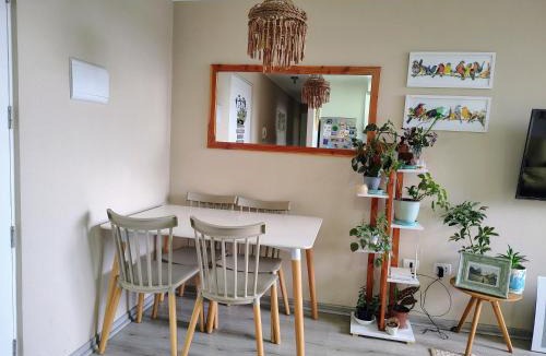 Villarrica Apartment | Departamento 2d1b en Villarrica