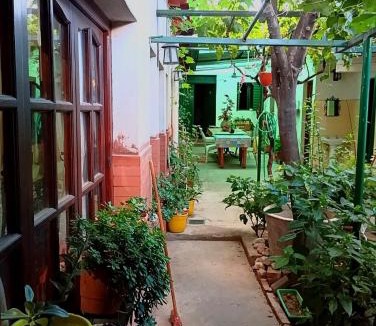 Cafayate Hostel | Hostal Mechita Mamani