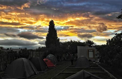 Puerto Natales Other | Camping Yellow Plum