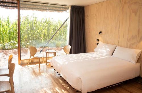 San Pedro de Atacama Hotel | Fauna Atacama